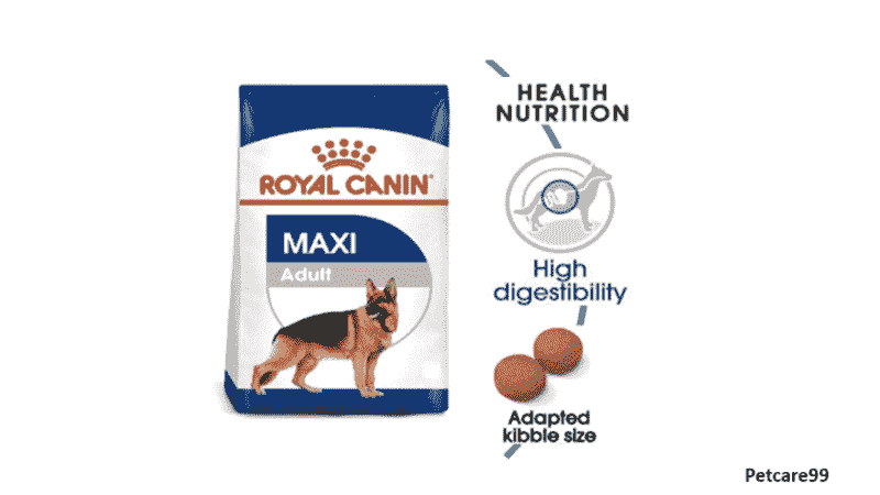  Best Dog Food Brands in India