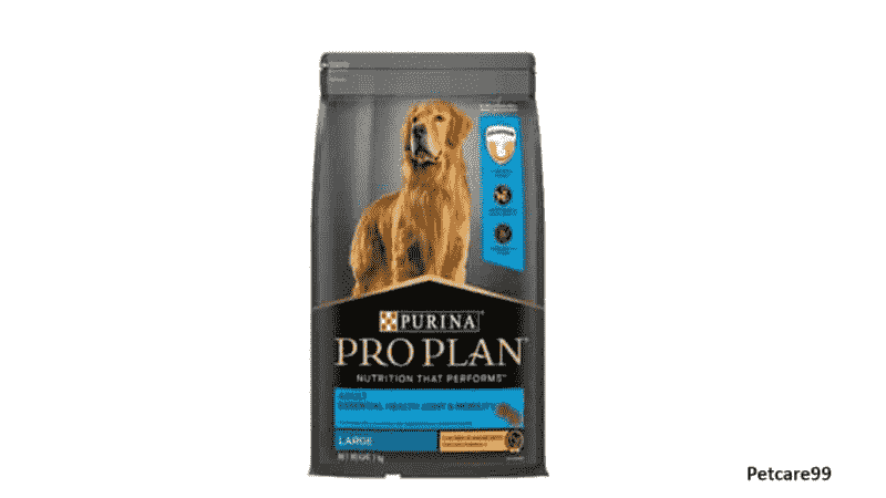  Best Dog Food Brands in India