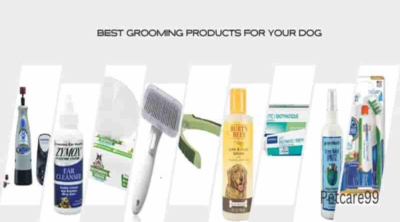 Best Grooming Products For Your Dog