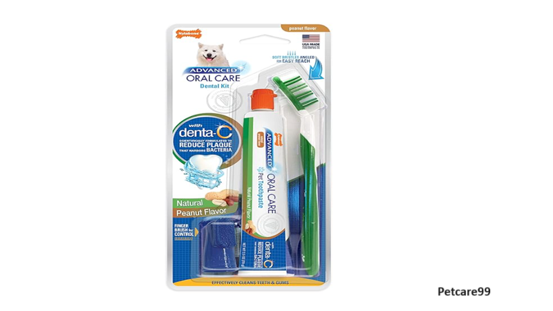 Nylabone Advanced Oral Care Dental Kit