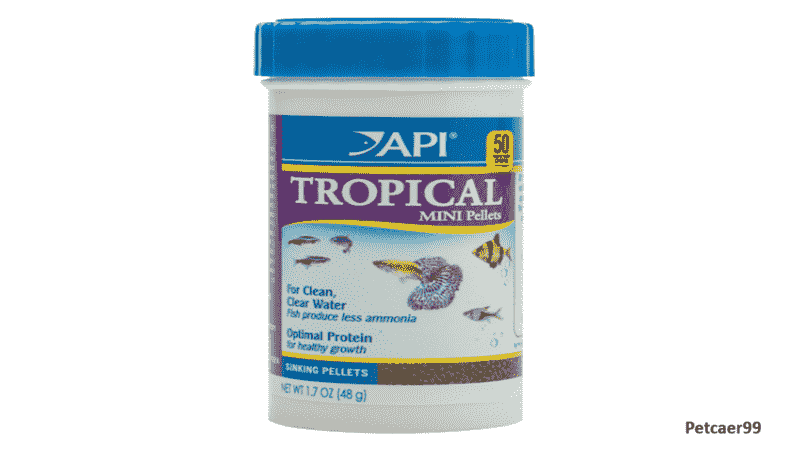 Best Fish Food for Tropical Fish