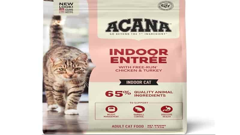 5 Best Cat Food Brands In India